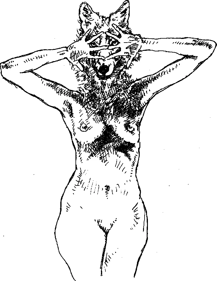 Figure 6