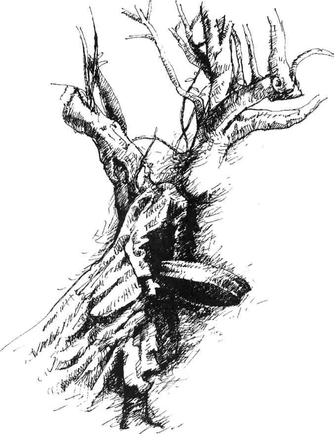 Rainstar maker